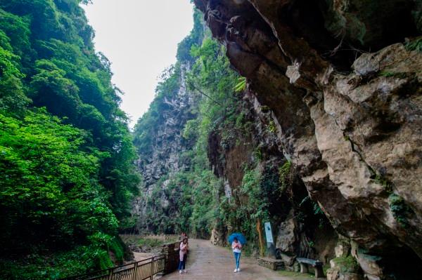 统筹金融要素支撑和安全稳定 助力高质量发展走在前列
