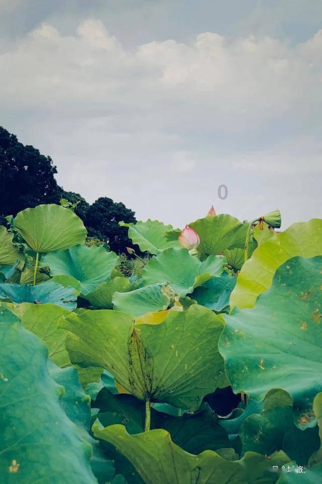 拯救自行车冠军