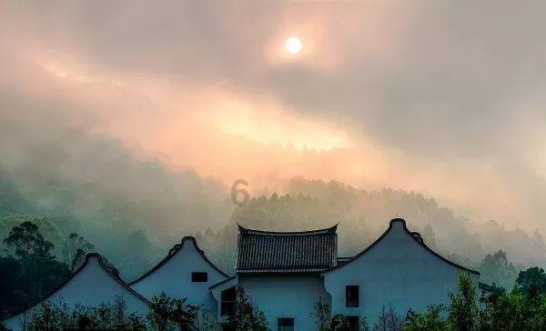逗小猴开心系列169