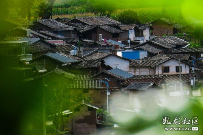 三平三负!特洛伊-迪尼在执教英乙球队六场后就被解雇