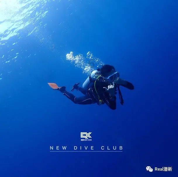 照顾小兔宝宝