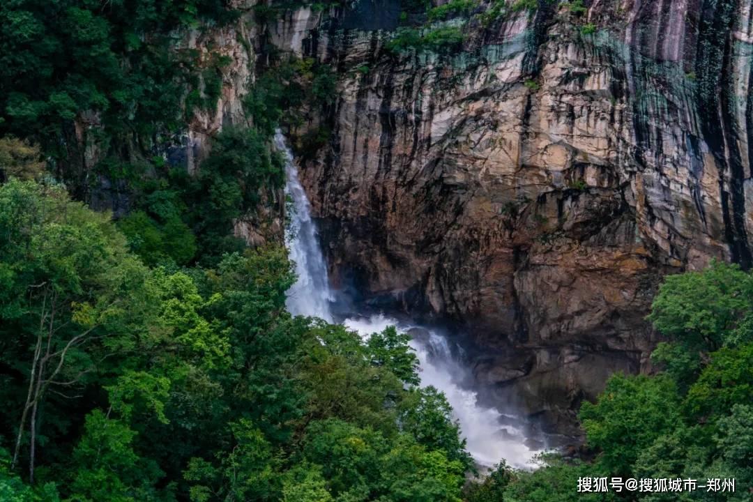 上海游客来沈阳旅游早市被“骗”,管理员知道后霸气为游客撑腰
