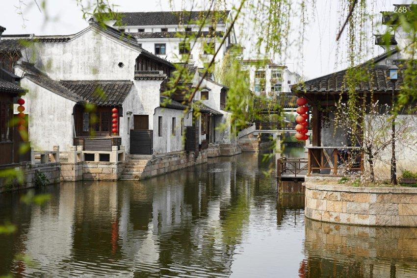 胡可带儿子游新加坡，安吉瘦回“东北宋仲基”